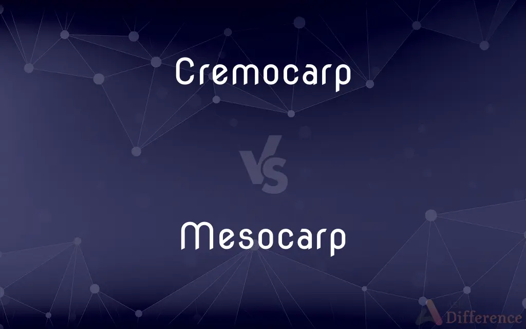 Cremocarp vs. Mesocarp — What's the Difference?
