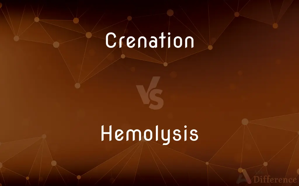 Crenation vs. Hemolysis — What's the Difference?
