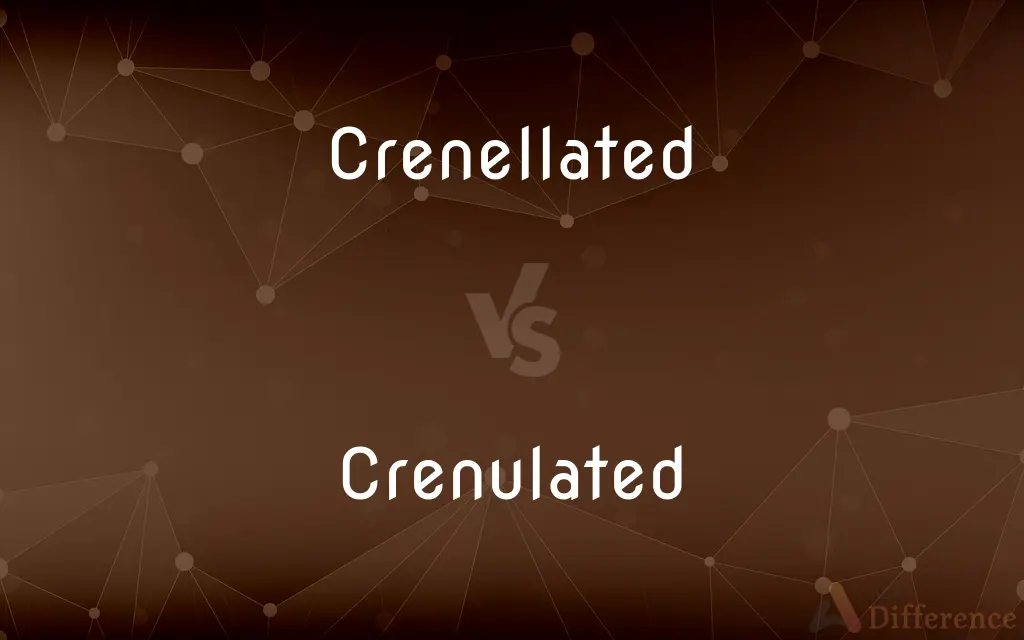 Crenellated vs. Crenulated — What's the Difference?