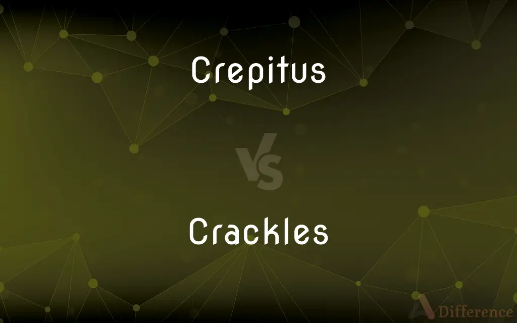 Crepitus vs. Crackles — What's the Difference?