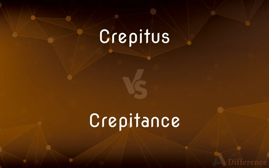Crepitus vs. Crepitance — Which is Correct Spelling?