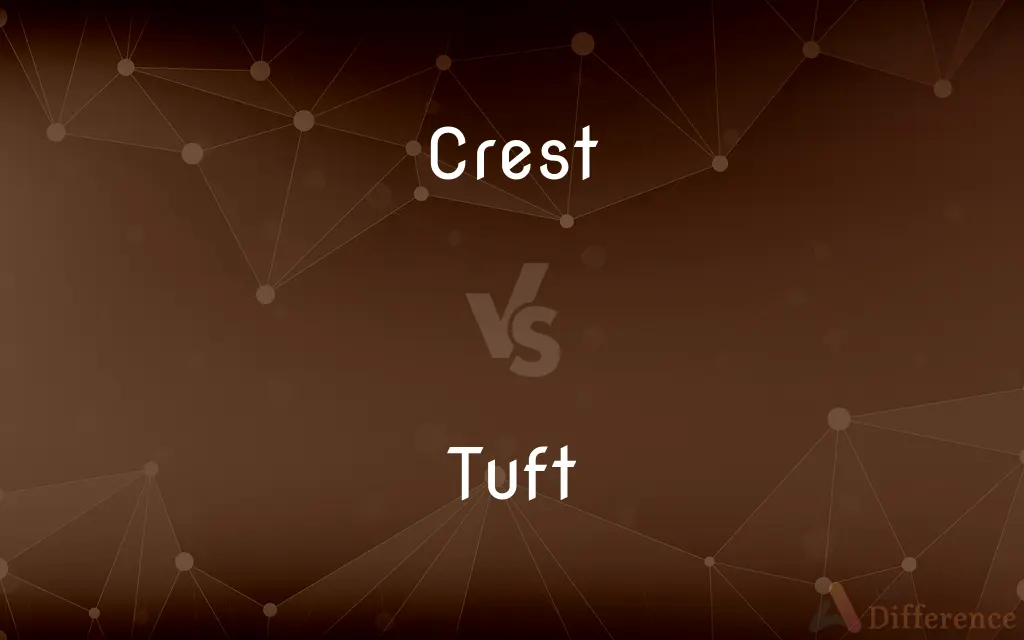 Crest vs. Tuft — What's the Difference?