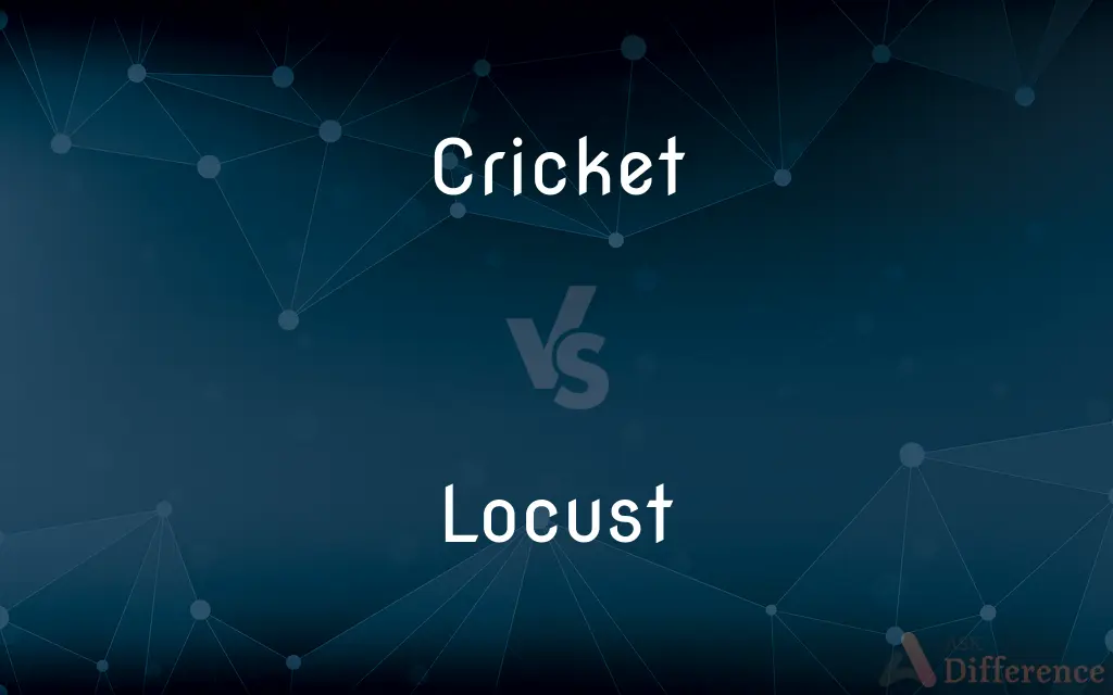 Cricket vs. Locust — What's the Difference?