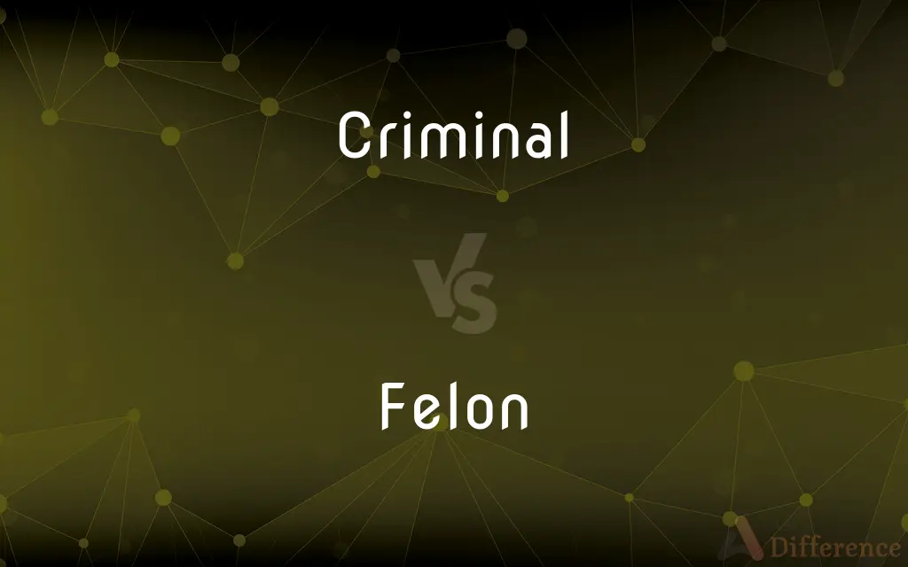 Criminal vs. Felon — What's the Difference?