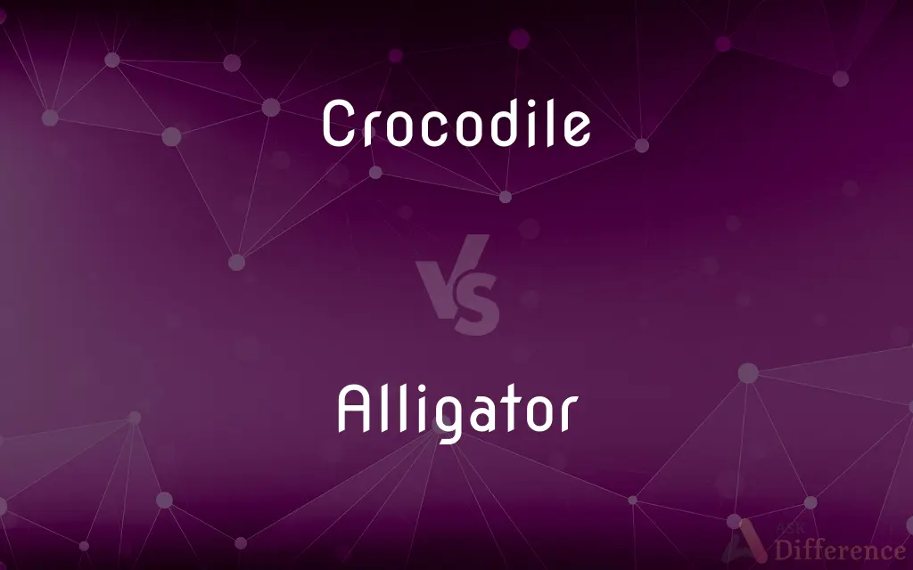 Crocodile vs. Alligator — What's the Difference?