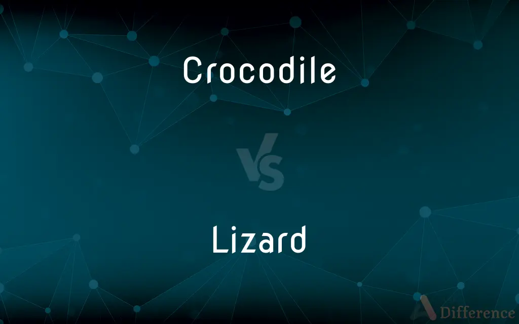 Crocodile vs. Lizard — What's the Difference?