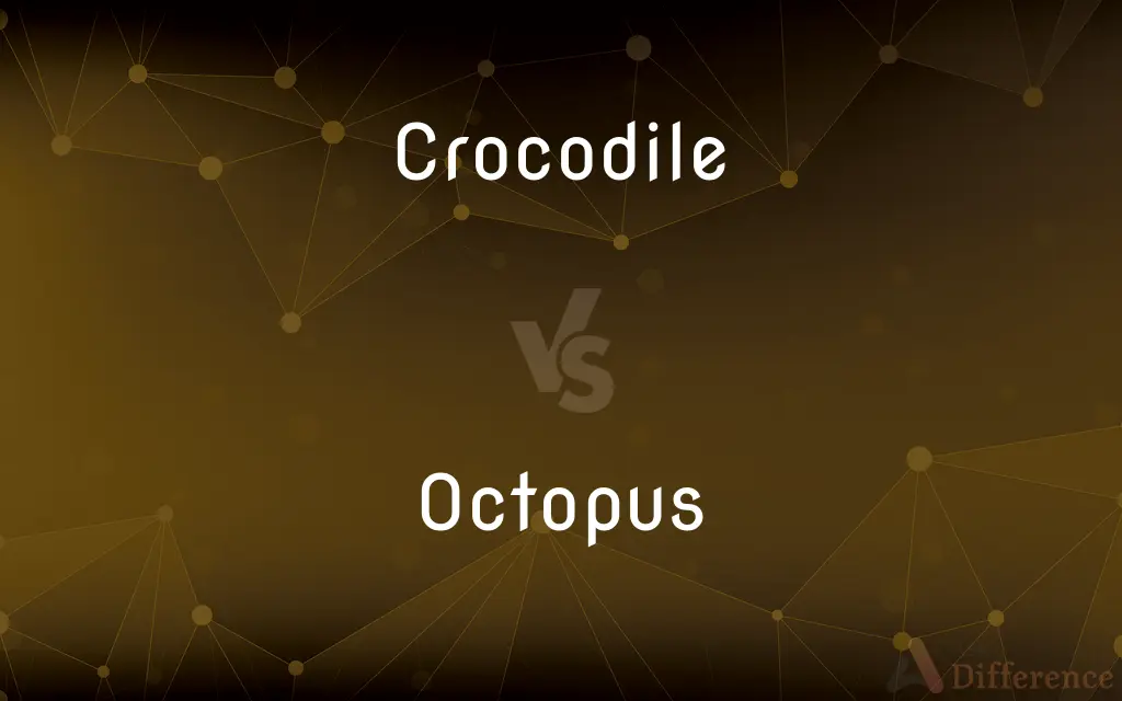 Crocodile vs. Octopus — What's the Difference?