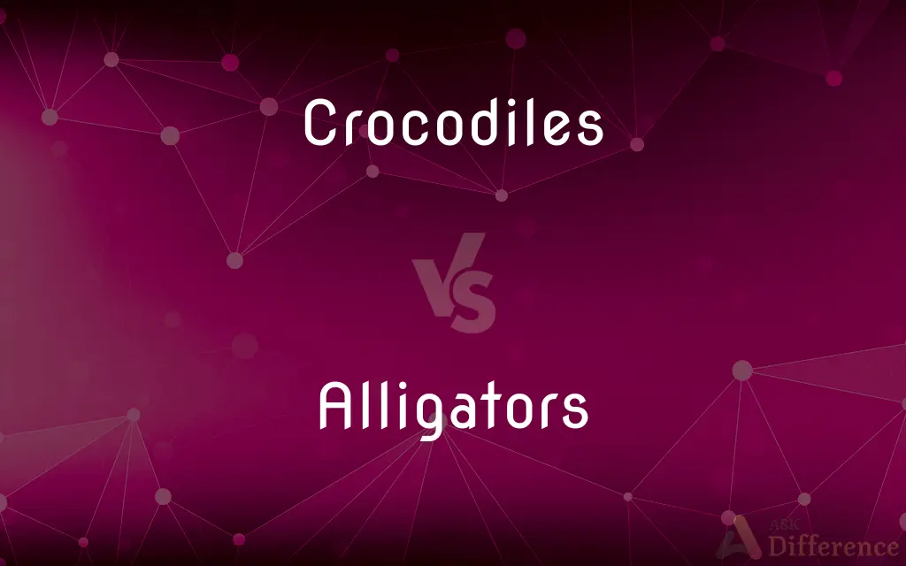 Crocodiles vs. Alligators — What's the Difference?