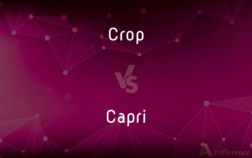 Crop vs. Capri — What's the Difference?