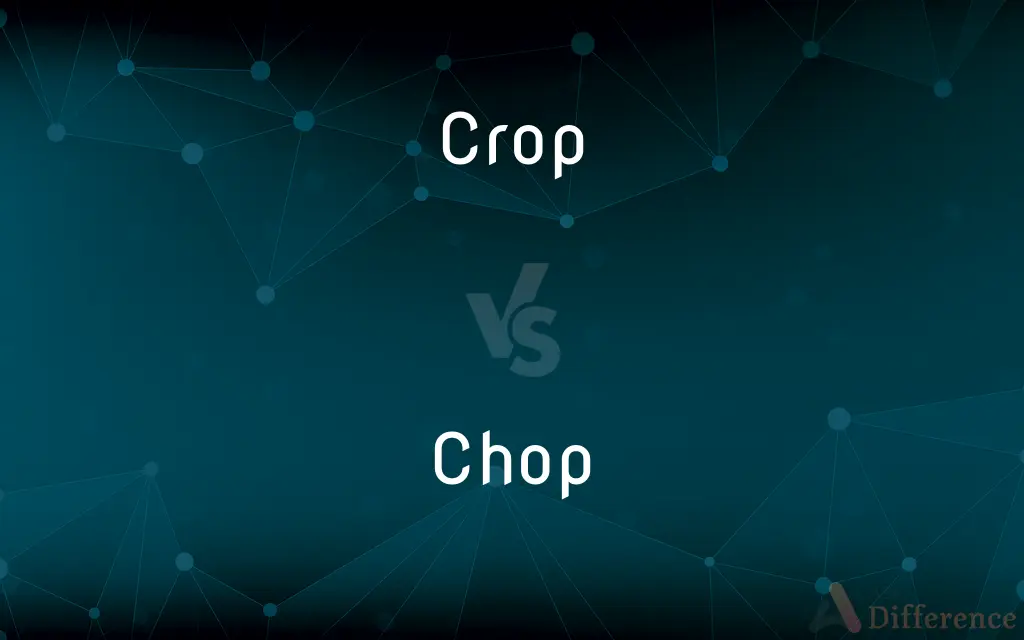 Crop vs. Chop — What's the Difference?