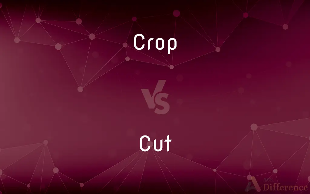 Crop vs. Cut — What's the Difference?