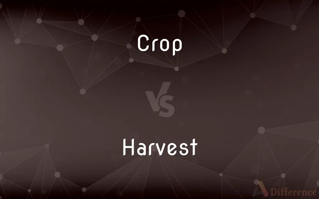 Crop vs. Harvest — What's the Difference?