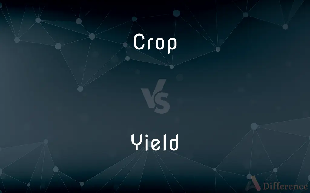 Crop vs. Yield — What's the Difference?