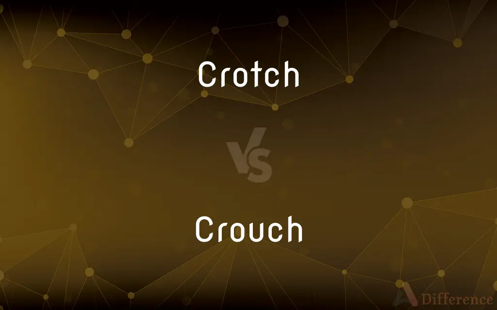 Crotch vs. Crouch — What's the Difference?