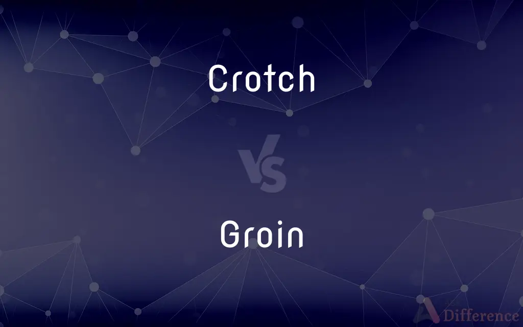 Crotch vs. Groin — What's the Difference?