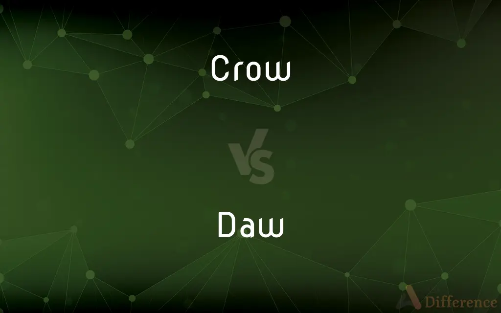 Crow vs. Daw — What's the Difference?