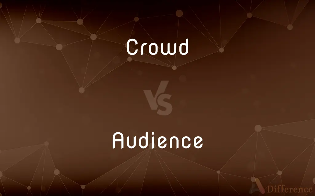 Crowd vs. Audience — What's the Difference?