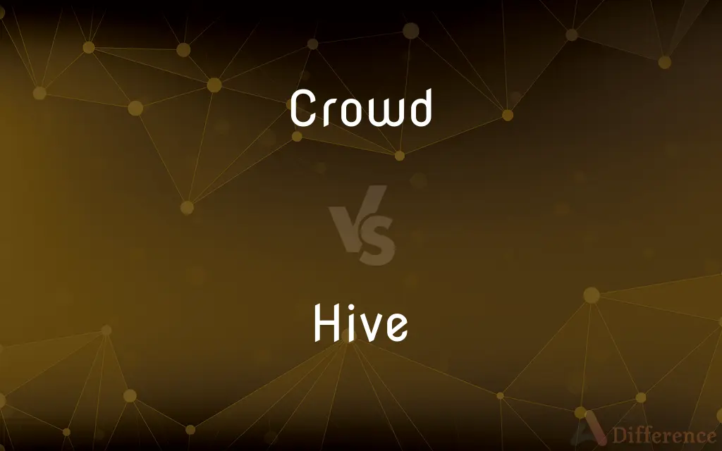 Crowd vs. Hive — What's the Difference?