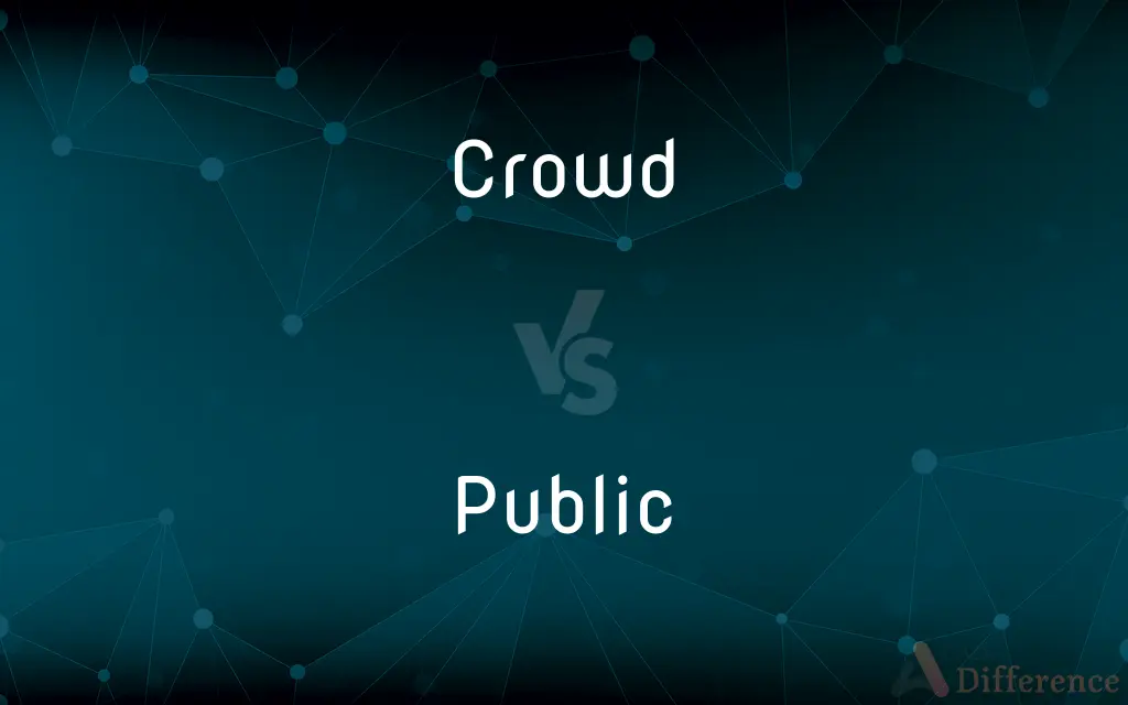 Crowd vs. Public — What's the Difference?