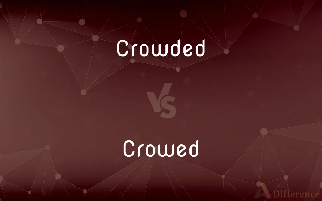 Crowded vs. Crowed — What's the Difference?