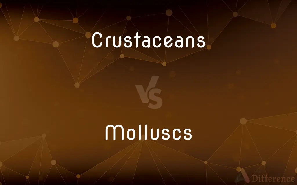Crustaceans vs. Molluscs — What's the Difference?