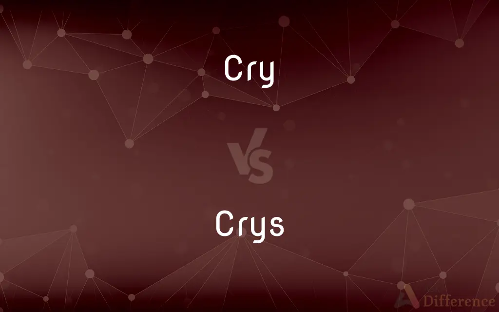 Cry vs. Crys — What's the Difference?