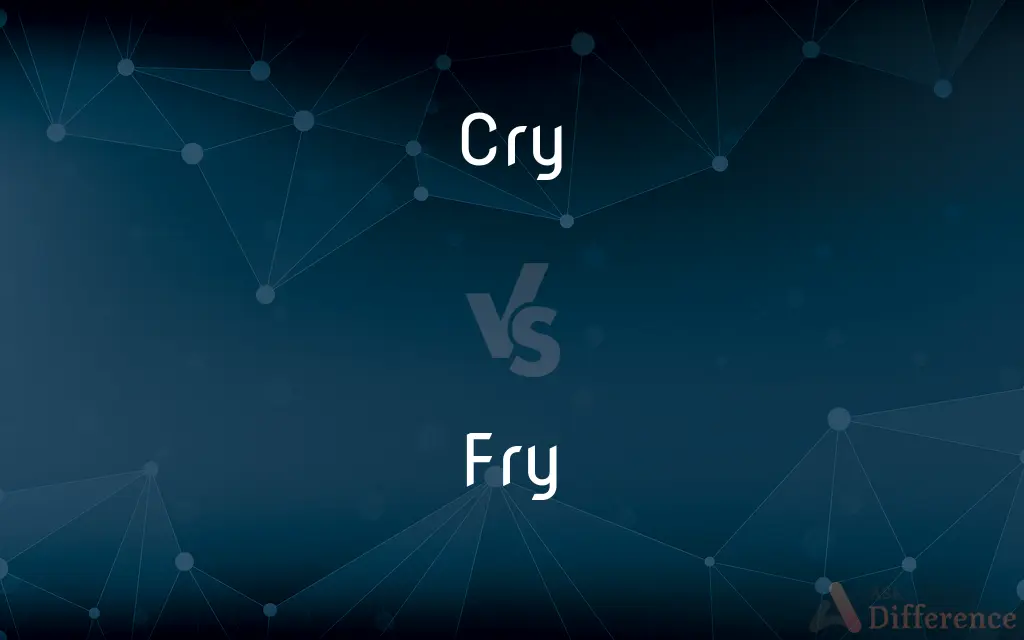 Cry vs. Fry — What's the Difference?