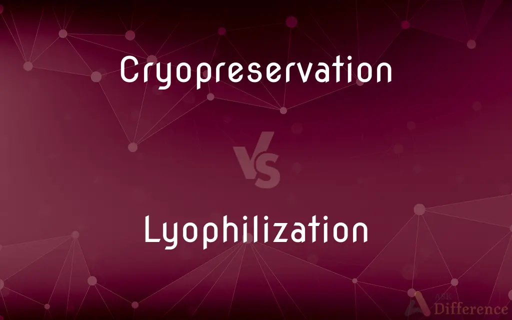 Cryopreservation vs. Lyophilization — What's the Difference?