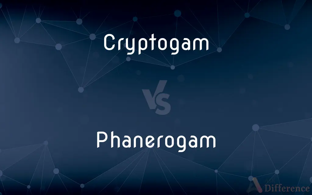 Cryptogam vs. Phanerogam — What's the Difference?