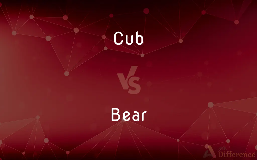 Cub vs. Bear — What's the Difference?