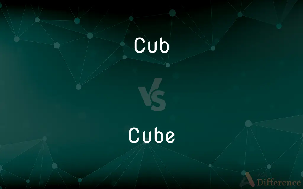 Cub vs. Cube — What's the Difference?