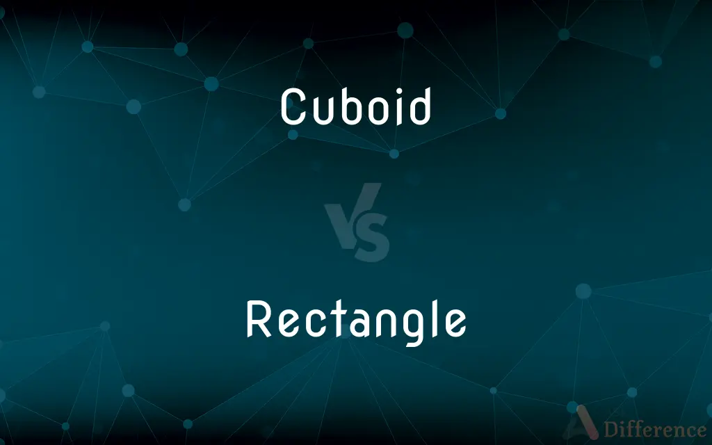 Cuboid vs. Rectangle — What's the Difference?