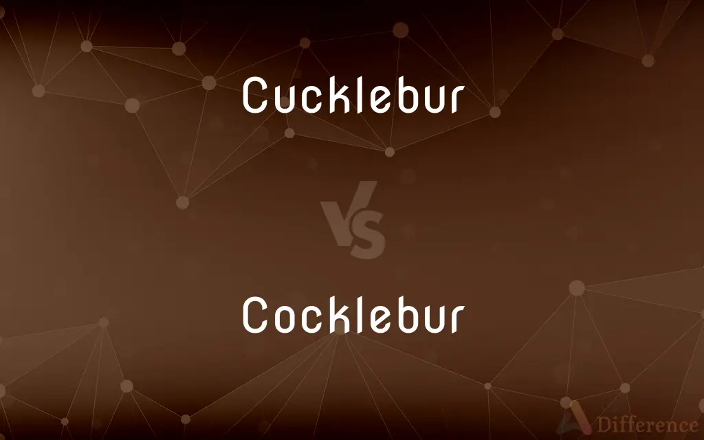Cucklebur vs. Cocklebur — Which is Correct Spelling?