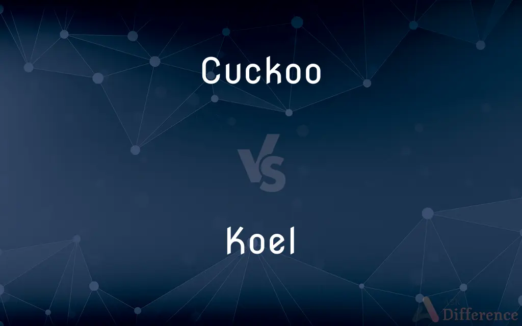 Cuckoo vs. Koel — What's the Difference?