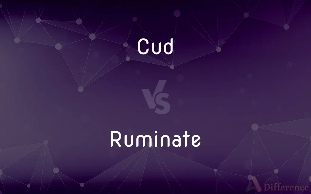 Cud vs. Ruminate — What's the Difference?