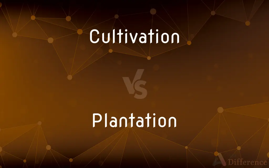 Cultivation vs. Plantation — What's the Difference?
