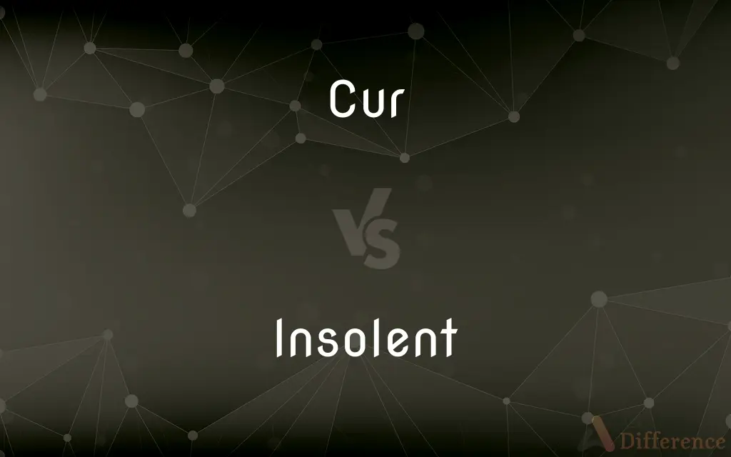 Cur vs. Insolent — What's the Difference?