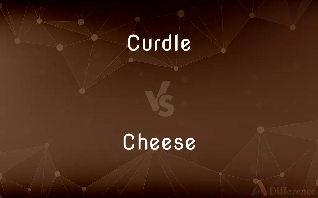 Curdle vs. Cheese — What's the Difference?