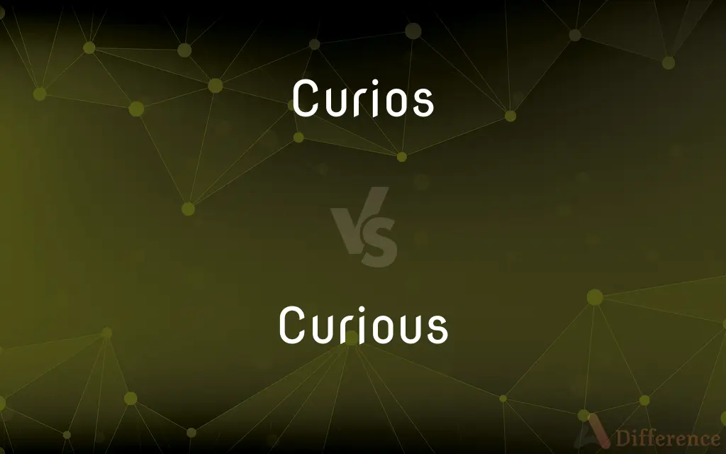 Curios vs. Curious — Which is Correct Spelling?
