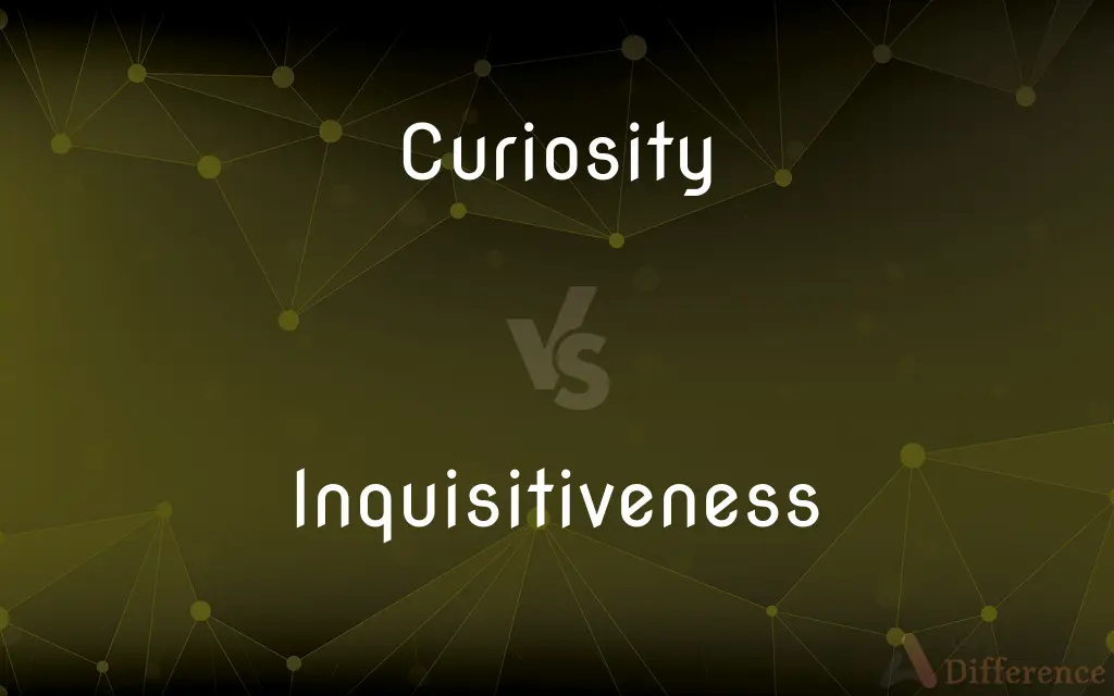 Curiosity vs. Inquisitiveness — What's the Difference?