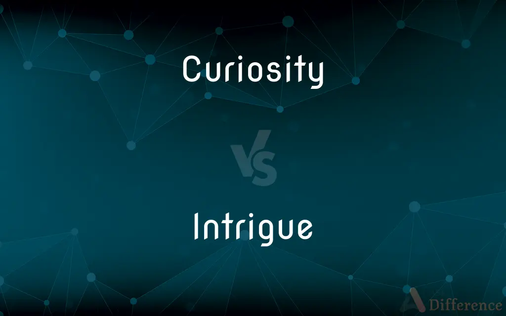 Curiosity vs. Intrigue — What's the Difference?