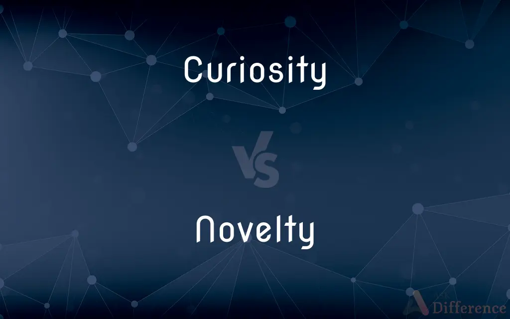 Curiosity vs. Novelty — What's the Difference?