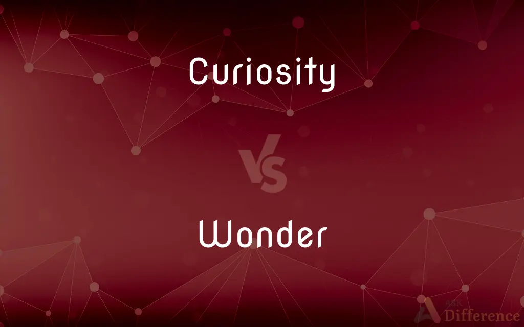 Curiosity vs. Wonder — What's the Difference?