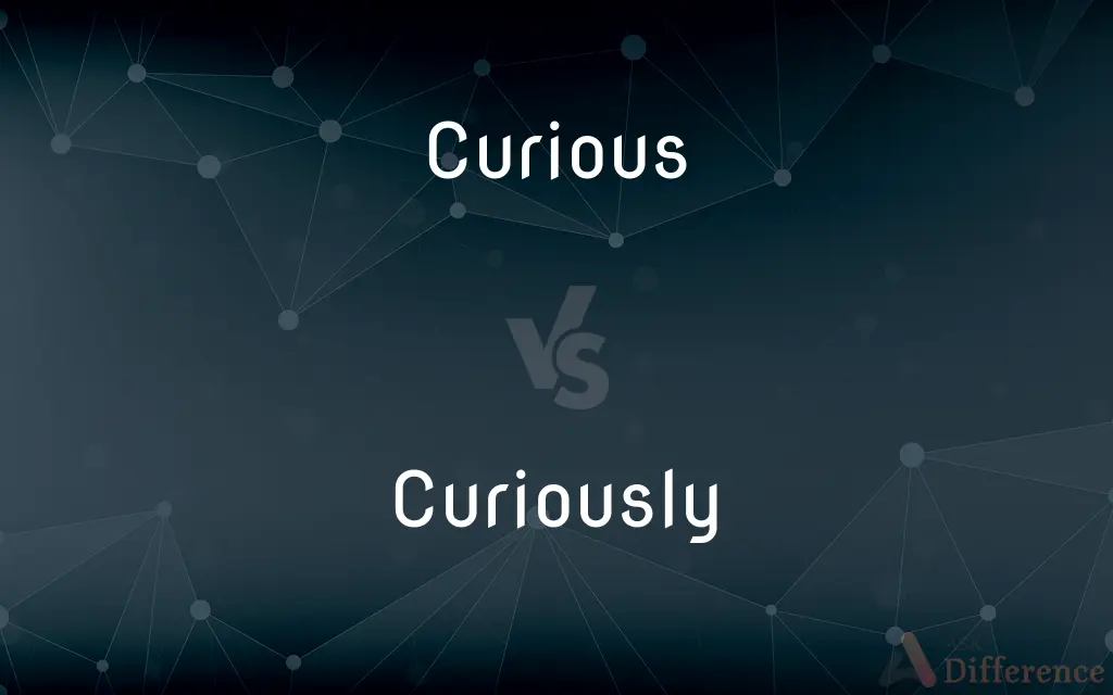 Curious vs. Curiously — What's the Difference?