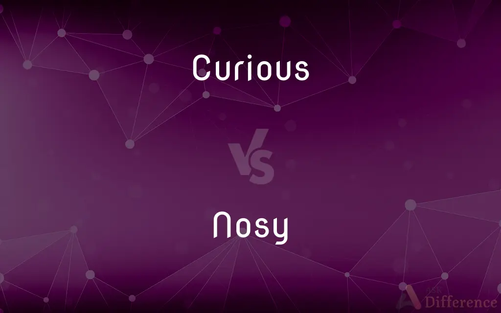 Curious vs. Nosy — What's the Difference?