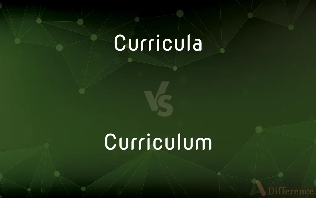Curricula vs. Curriculum — What's the Difference?