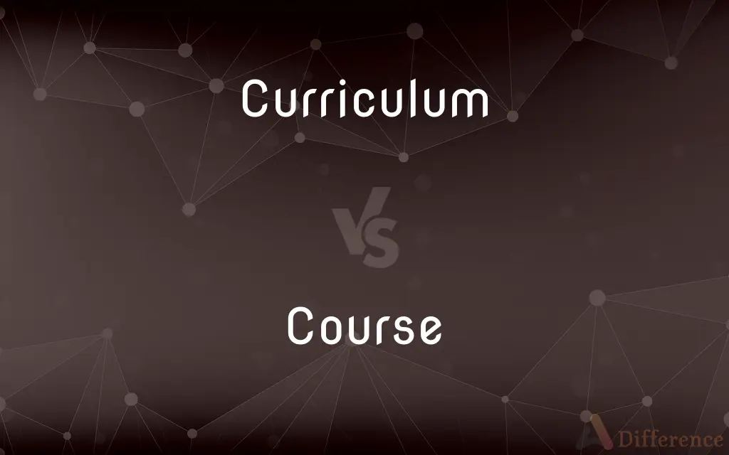 Curriculum vs. Course — What's the Difference?
