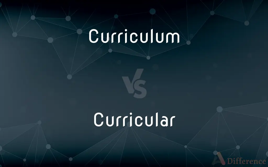 Curriculum vs. Curricular — What's the Difference?