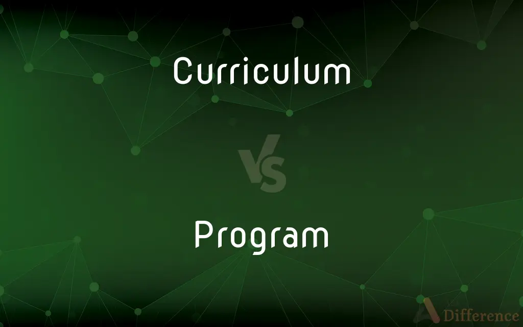 Curriculum vs. Program — What's the Difference?