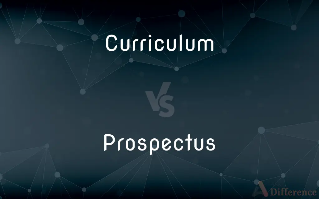 Curriculum vs. Prospectus — What's the Difference?